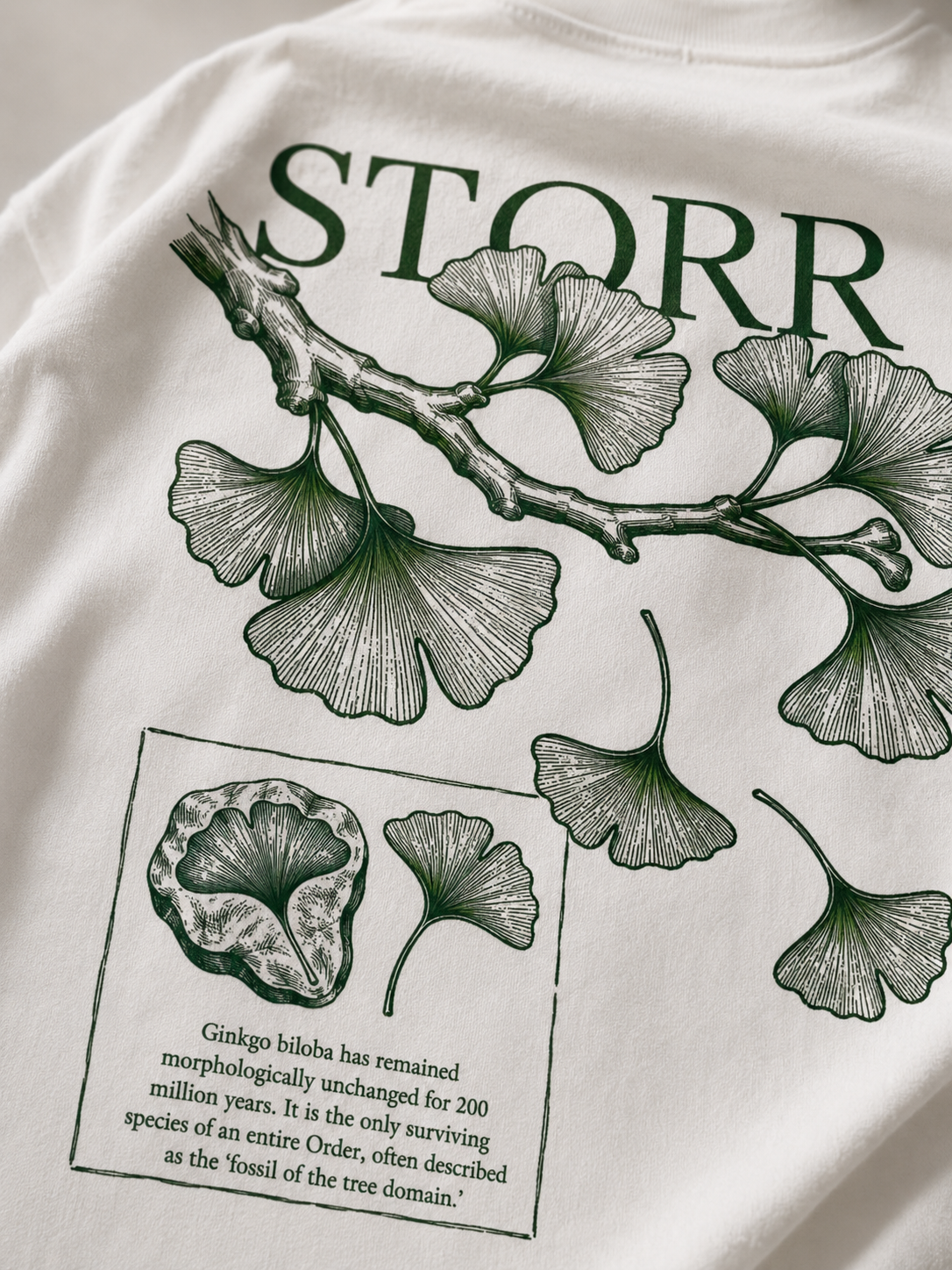 Ginkgo Archive